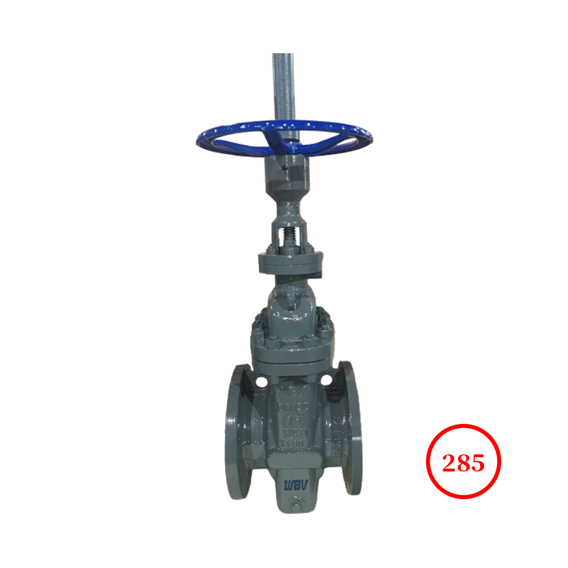 ????? ?? ???? ?? HG flat gate valve Z43WF-16C