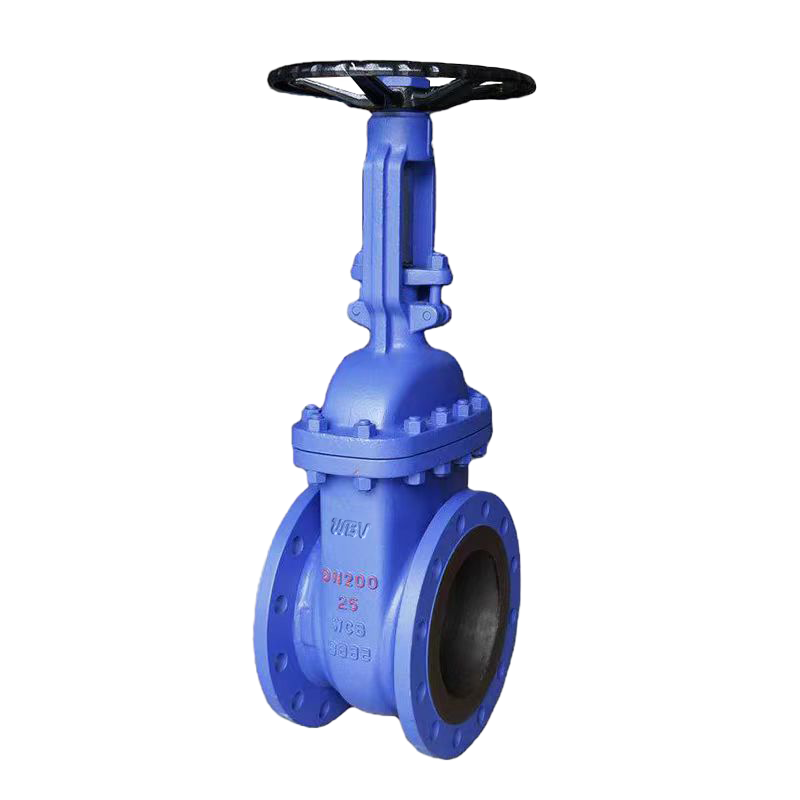 德標(biāo)碳鋼明桿閘閥 DIN c.s RS gate valve Z41W-16C