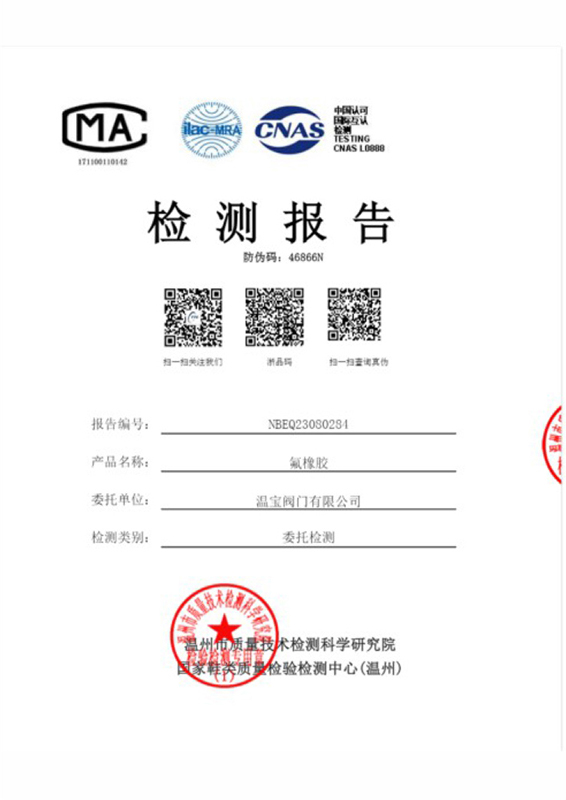 Fluorine rubber testing report