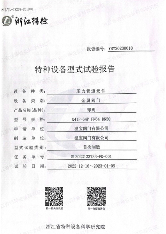 Special Equipment Type Test Report - Pressure Pipeline Components